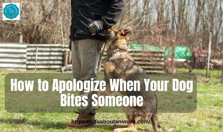 How to Apologize When Your Dog Bites Someone