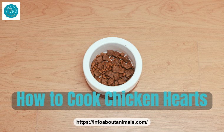 Bowl of dog food, how to cook chicken hearts for dogs