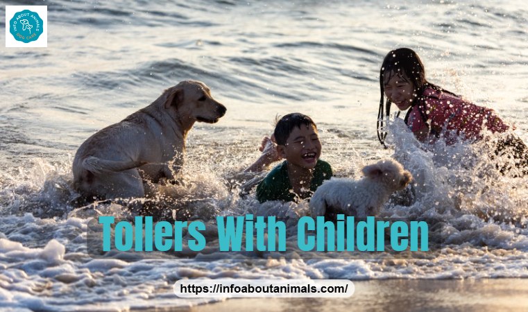 Children and dogs playing together in ocean waves